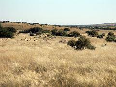 090509_South_Africa 186
